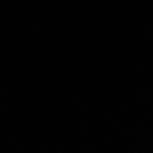 Meet your Posher, Daniela